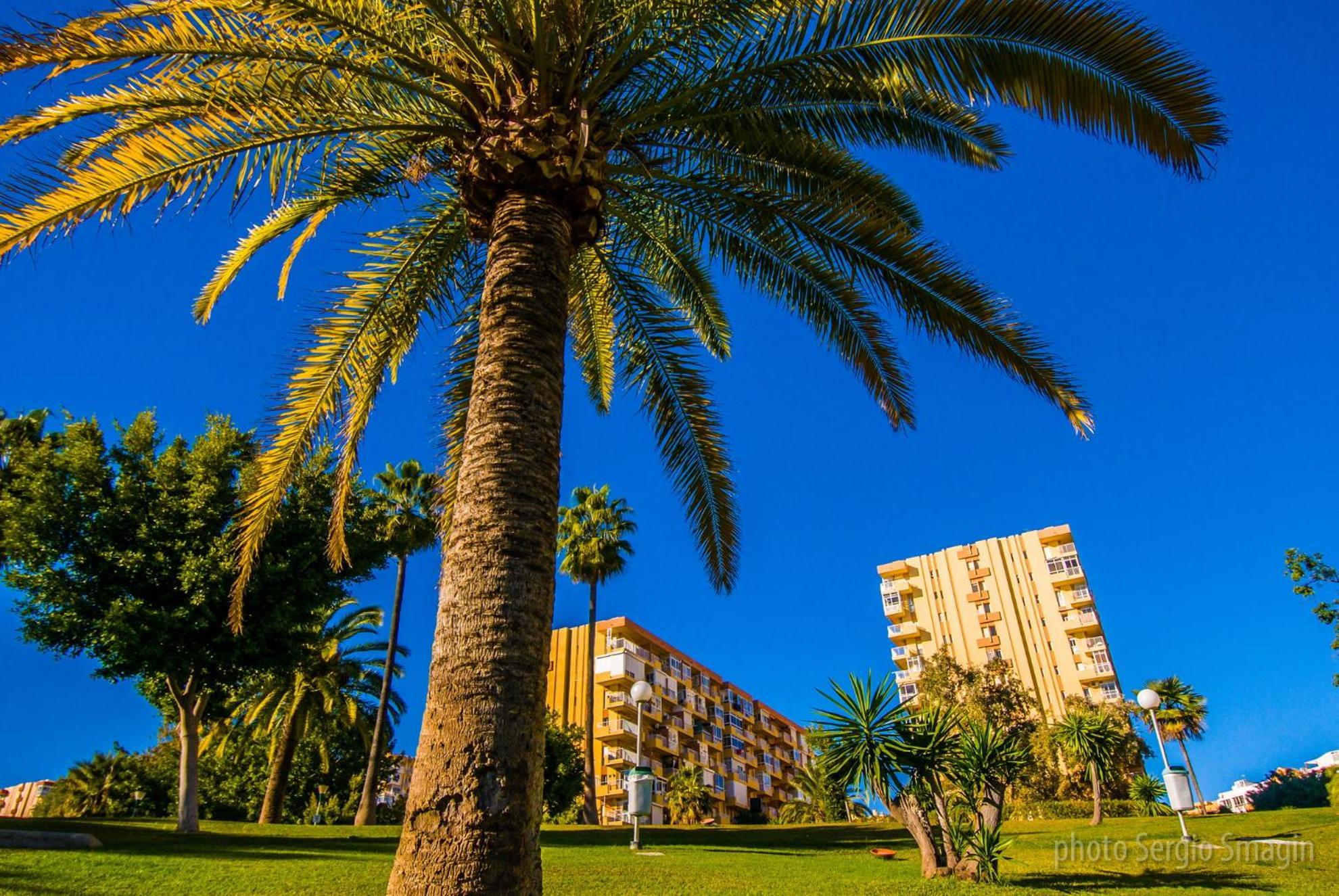 102 Estudio En Jupiter Apartmentos - Piscina Y Playa - Excelente Ubicacion Бенальмадена Екстер'єр фото