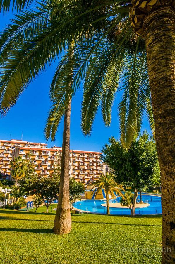 102 Estudio En Jupiter Apartmentos - Piscina Y Playa - Excelente Ubicacion Бенальмадена Екстер'єр фото